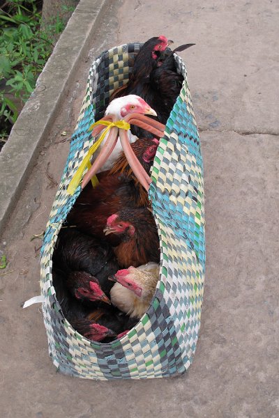 Vietnam - Cambodge - 0834.JPG